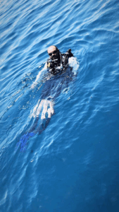 Abu Dhabi Diving Centre