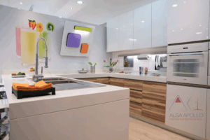 Alsa Apollo Kitchens Industry