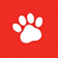 American Veterinary Clinic