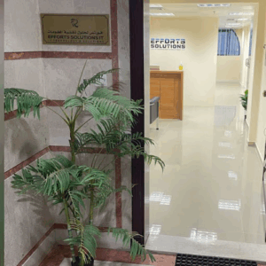 Efforts Solutions IT