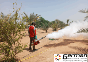 German Pest Control & Cleaning