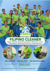 Hawaii Cleaning Services