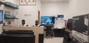 Luminous IT Solution