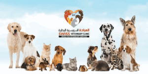 Swiss Veterinary Clinic